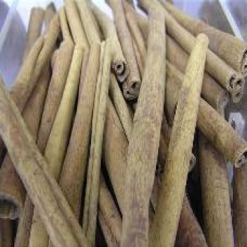 6" Cinnamon Sticks