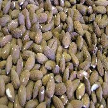 Almonds Natural Raw