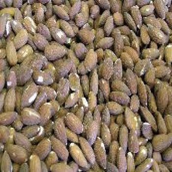 Almonds Roasted Salted