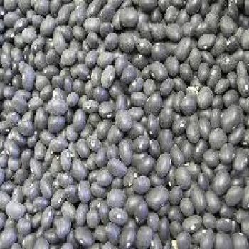 Beans - Black Turtle Beans