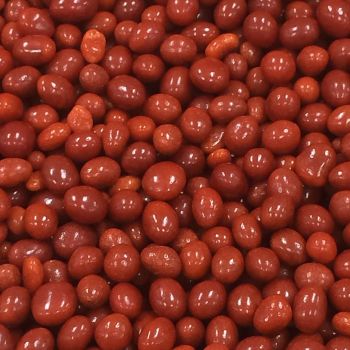 Boston Baked Beans