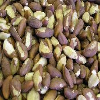 Brazil Nuts Raw
