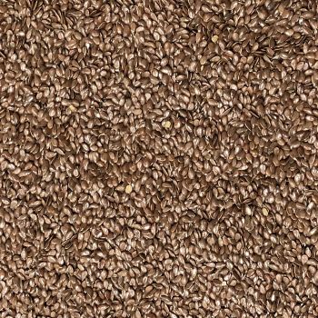 Flax Seed Brown