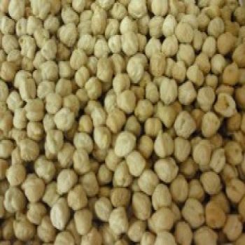 Beans - Garbanzo Beans (Chick Peas)