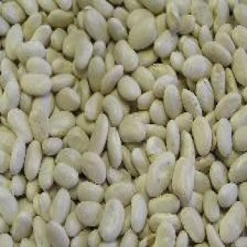 Beans - Great Northern Beans