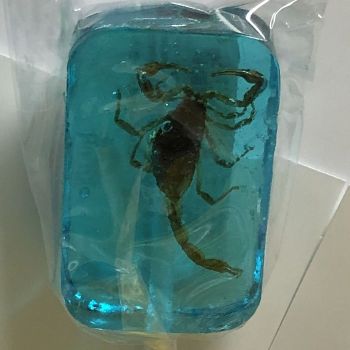 Hotlix Scorpion Lollipop Blueberry
