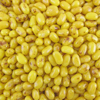 Jelly Belly Top Banana