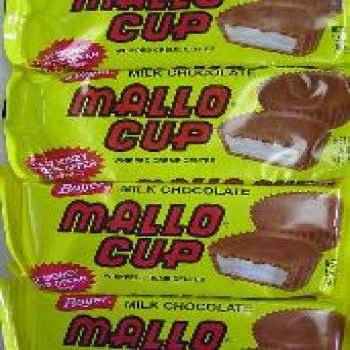Boyer Mallo Cup
