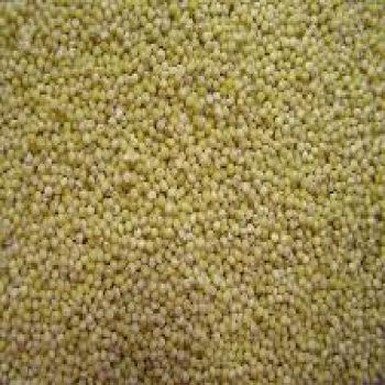 Millet