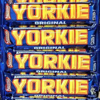 Nestle Yorkie