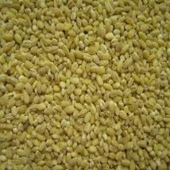 Pearl Barley