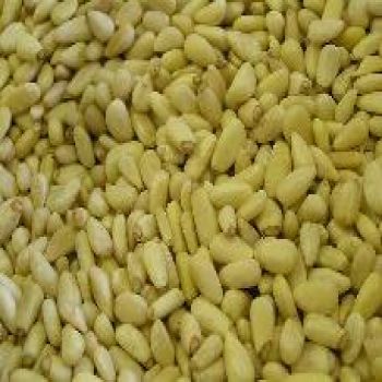 Pine Nuts