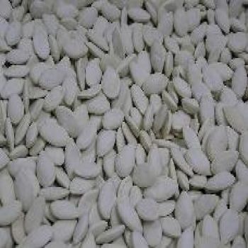 Squash Seeds Salted