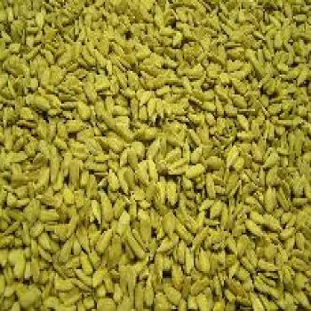 Sunflower Meats Raw