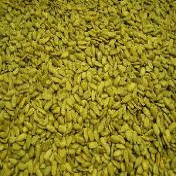 Sunflower Meats Salted