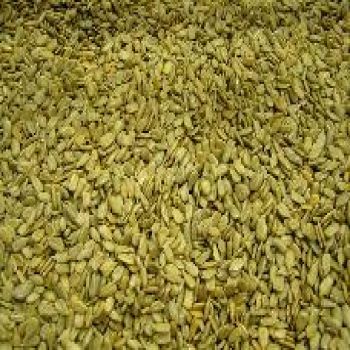 Sunflower Meats Unsalted