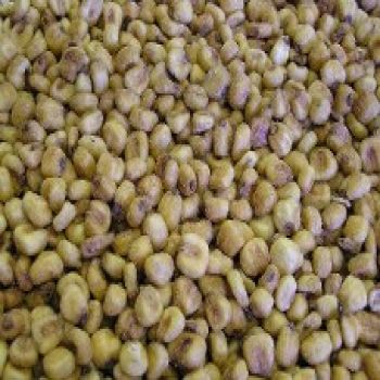 Toasted Corn